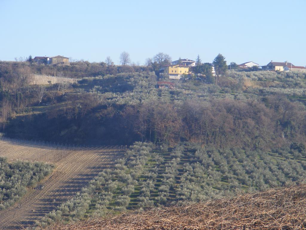 Bauernhof Agriturismo Trivilini *
