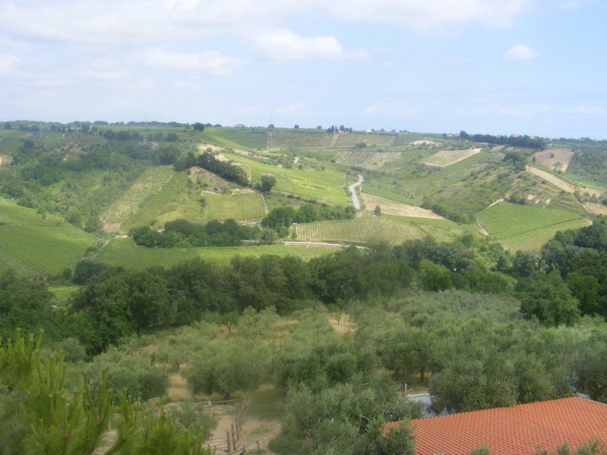 Agriturismo Trivilini Bauernhof Lanciano