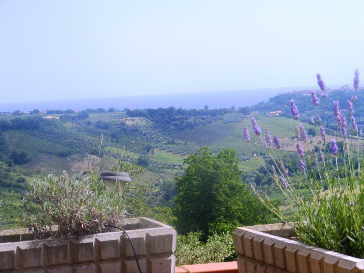 Agriturismo Trivilini *